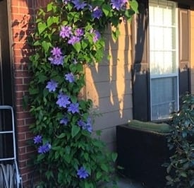 A vase of flowers on a brick building